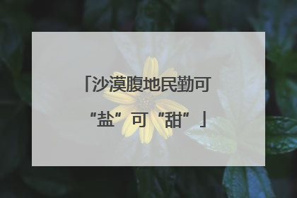 沙漠腹地民勤可“盐”可“甜”