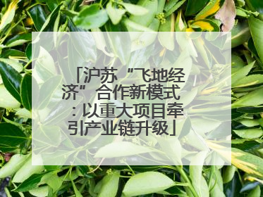沪苏“飞地经济”合作新模式：以重大项目牵引产业链升级