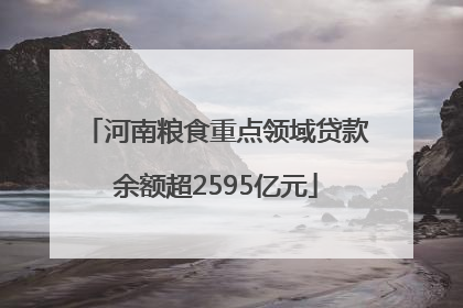 河南粮食重点领域贷款余额超2595亿元