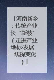 河南新乡：传统产业长“新枝”（走进产业地标·发展一线探变化）