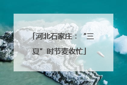 河北石家庄：“三夏”时节麦收忙