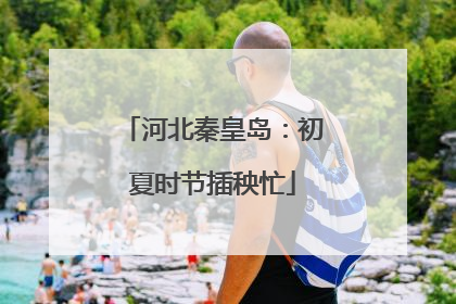 河北秦皇岛：初夏时节插秧忙