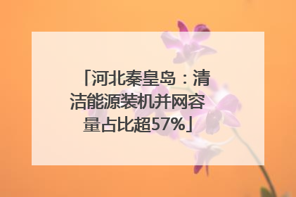 河北秦皇岛：清洁能源装机并网容量占比超57%