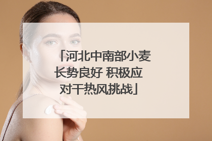 河北中南部小麦长势良好 积极应对干热风挑战