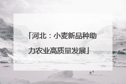 河北：小麦新品种助力农业高质量发展