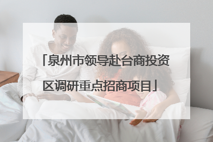 泉州市领导赴台商投资区调研重点招商项目