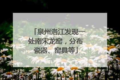 泉州洛江发现一处南宋龙窑，分布瓷器、窑具等