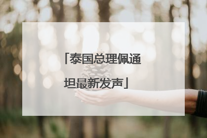 泰国总理佩通坦最新发声