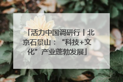 活力中国调研行丨北京石景山：“科技+文化”产业蓬勃发展
