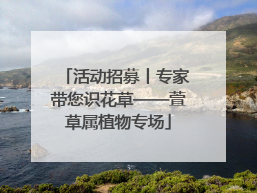 活动招募丨专家带您识花草——萱草属植物专场