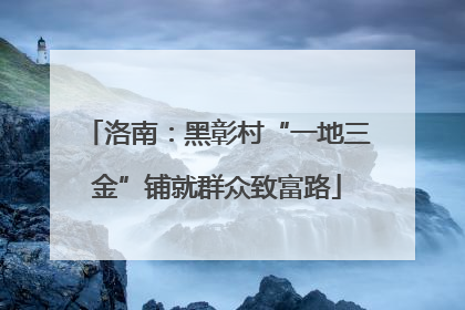 洛南：黑彰村“一地三金”铺就群众致富路