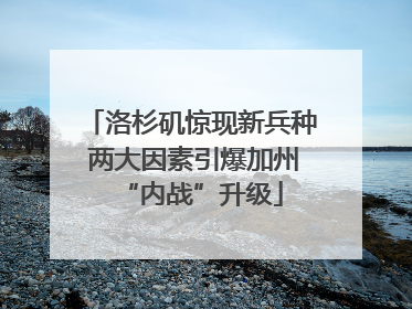 洛杉矶惊现新兵种 两大因素引爆加州“内战”升级