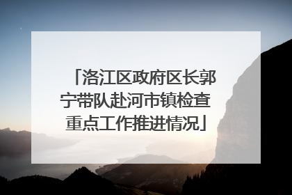 洛江区政府区长郭宁带队赴河市镇检查重点工作推进情况