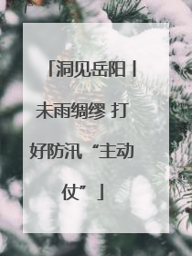 洞见岳阳丨未雨绸缪 打好防汛“主动仗”