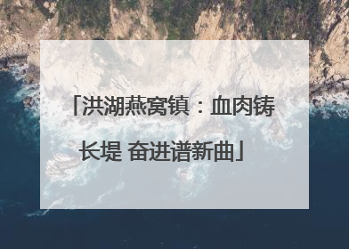 洪湖燕窝镇：血肉铸长堤 奋进谱新曲