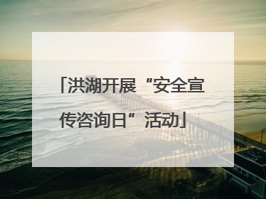 洪湖开展“安全宣传咨询日”活动