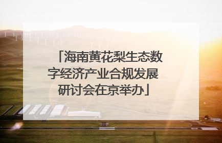 海南黄花梨生态数字经济产业合规发展研讨会在京举办