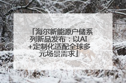海尔新能源户储系列新品发布：以AI+定制化适配全球多元场景需求