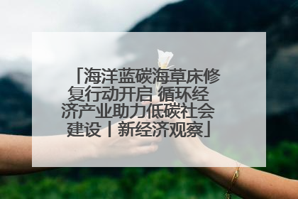 海洋蓝碳海草床修复行动开启 循环经济产业助力低碳社会建设丨新经济观察