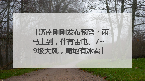 济南刚刚发布预警：雨马上到，伴有雷电、7~9级大风，局地有冰雹