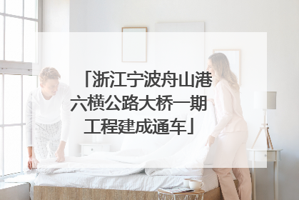 浙江宁波舟山港六横公路大桥一期工程建成通车