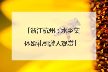 浙江杭州：水乡集体婚礼引游人观赏