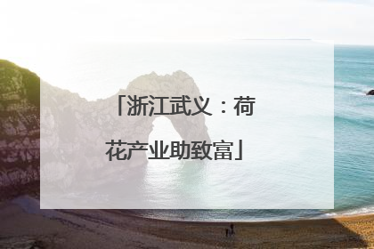浙江武义：荷花产业助致富