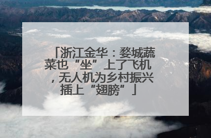 浙江金华：婺城蔬菜也“坐”上了飞机，无人机为乡村振兴插上“翅膀”