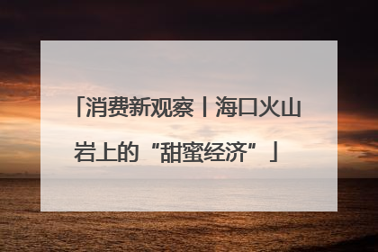 消费新观察丨海口火山岩上的“甜蜜经济”