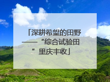 深耕希望的田野——“综合试验田”里庆丰收
