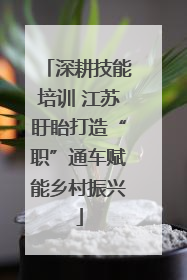 深耕技能培训 江苏盱眙打造“职”通车赋能乡村振兴