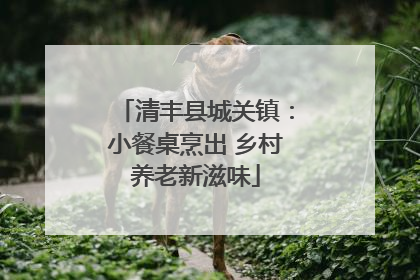 清丰县城关镇：小餐桌烹出 乡村养老新滋味