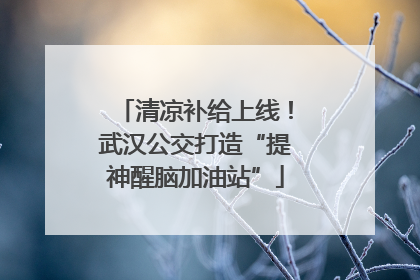 清凉补给上线！武汉公交打造“提神醒脑加油站”