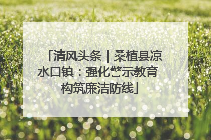 清风头条｜桑植县凉水口镇：强化警示教育 构筑廉洁防线