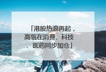 港股热浪再起，高瓴在消费、科技、医药同步加仓