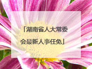 湖南省人大常委会最新人事任免