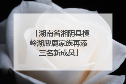湖南省湘阴县横岭湖麋鹿家族再添三名新成员