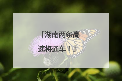 湖南两条高速将通车！