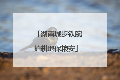 湖南城步铁腕护耕地保粮安