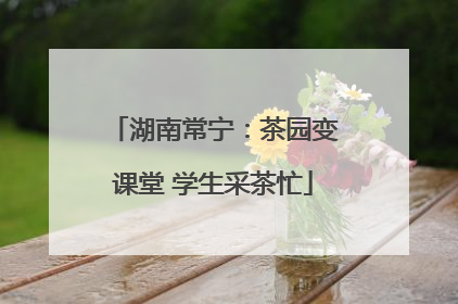 湖南常宁：茶园变课堂 学生采茶忙