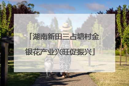 湖南新田三占塘村金银花产业兴旺促振兴