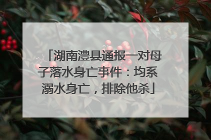 湖南澧县通报一对母子落水身亡事件：均系溺水身亡，排除他杀