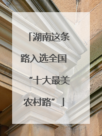 湖南这条路入选全国“十大最美农村路”
