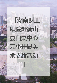 湖南财工职院赴衡山县白果中心完小开展美术支教活动