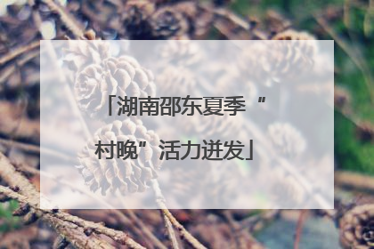湖南邵东夏季“村晚”活力迸发