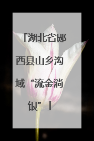 湖北省郧西县山乡沟域“流金淌银”