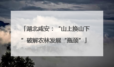 湖北咸安：“山上换山下”破解农林发展“瓶颈”