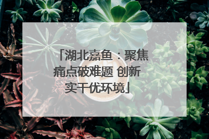湖北嘉鱼：聚焦痛点破难题 创新实干优环境