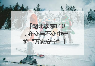 湖北孝感110，在变与不变中守护“万家安宁”