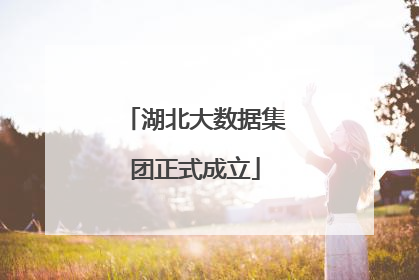 湖北大数据集团正式成立